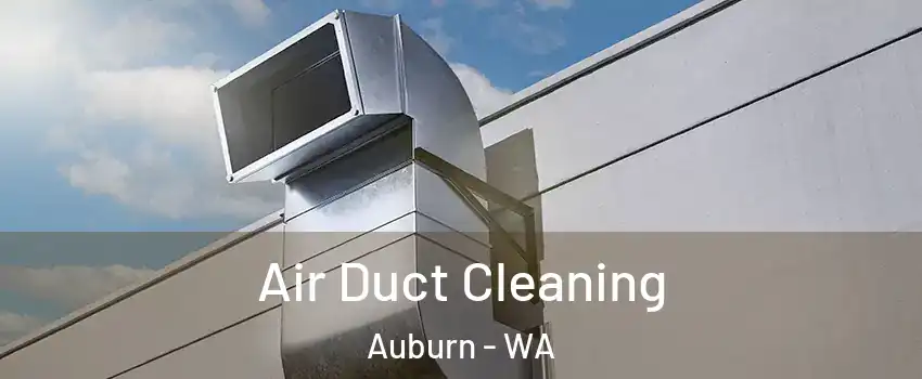  Air Duct Cleaning Auburn - WA