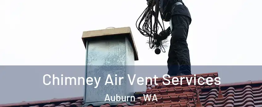  Chimney Air Vent Services Auburn - WA