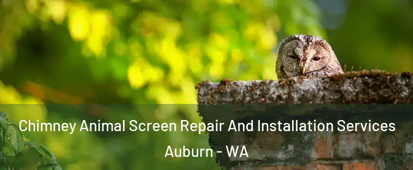  Chimney Animal Screen Repair And Installation Services Auburn - WA