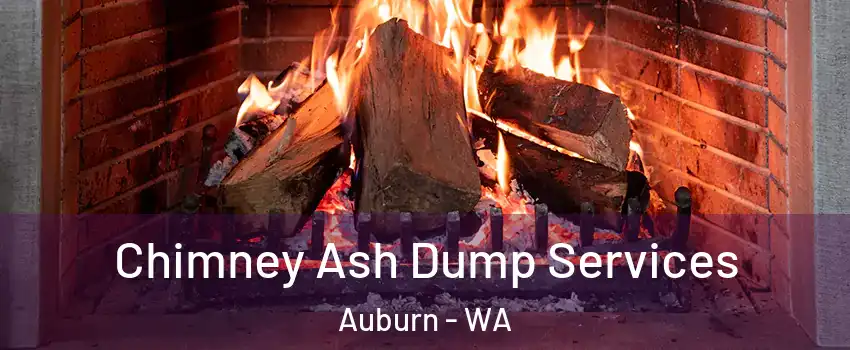  Chimney Ash Dump Services Auburn - WA