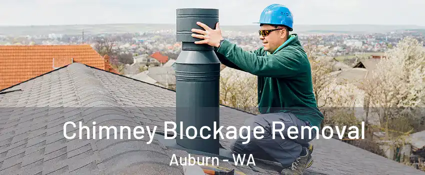  Chimney Blockage Removal Auburn - WA