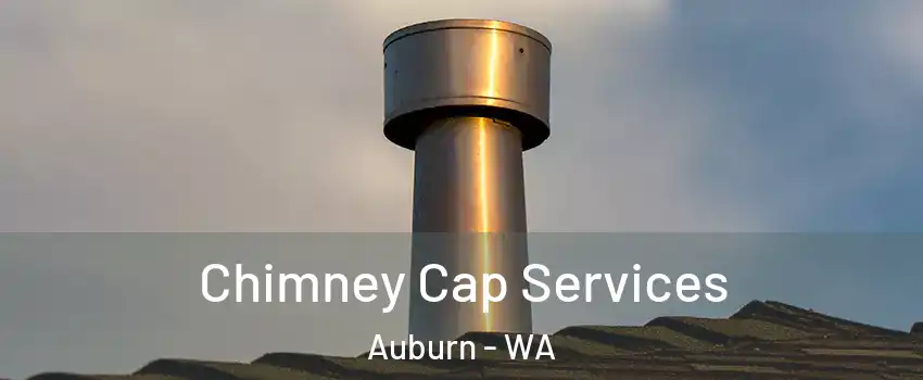  Chimney Cap Services Auburn - WA