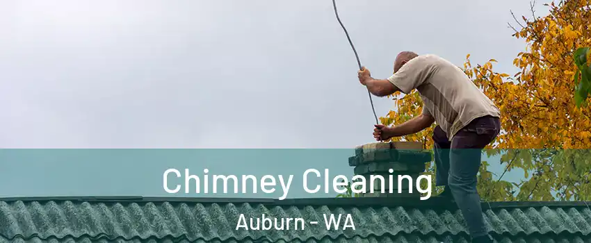  Chimney Cleaning Auburn - WA