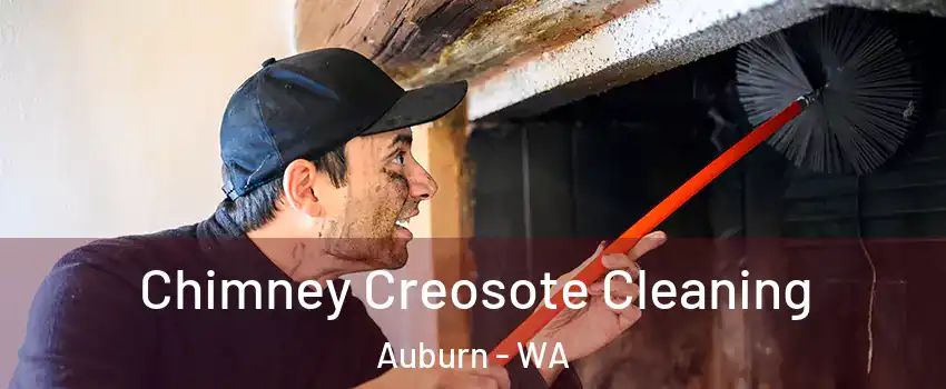  Chimney Creosote Cleaning Auburn - WA