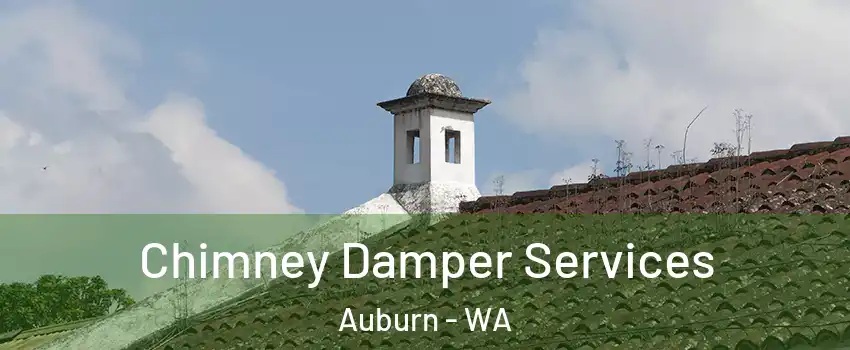  Chimney Damper Services Auburn - WA