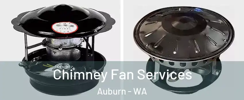  Chimney Fan Services Auburn - WA