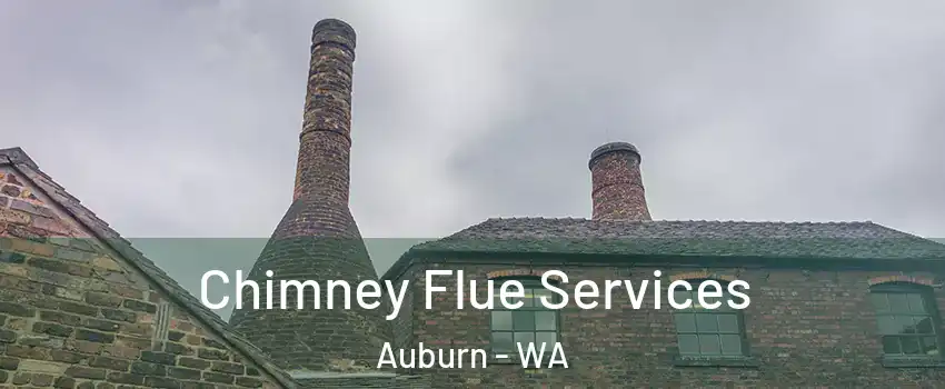  Chimney Flue Services Auburn - WA