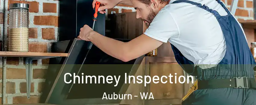  Chimney Inspection Auburn - WA