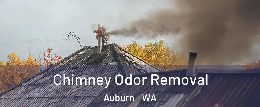  Chimney Odor Removal Auburn - WA