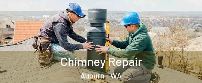  Chimney Repair Auburn - WA