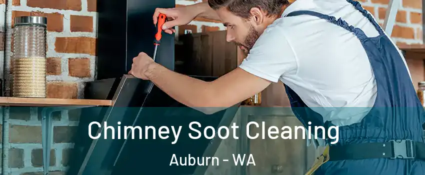  Chimney Soot Cleaning Auburn - WA