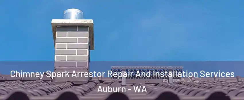  Chimney Spark Arrestor Repair And Installation Services Auburn - WA