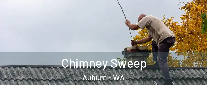  Chimney Sweep Auburn - WA