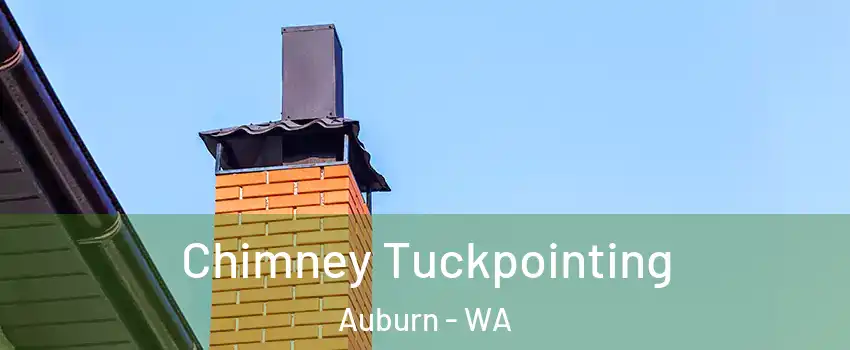  Chimney Tuckpointing Auburn - WA