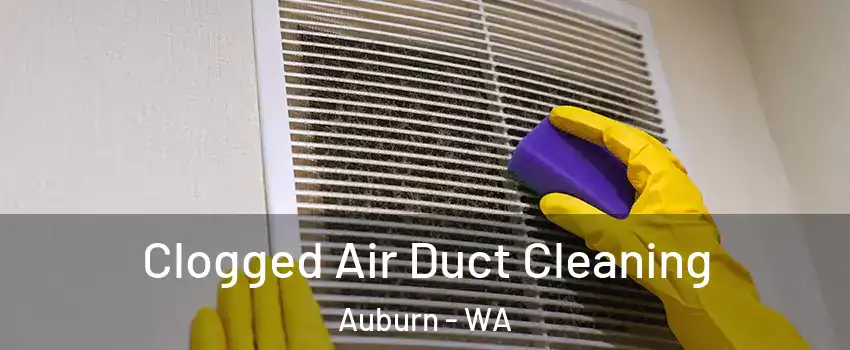  Clogged Air Duct Cleaning Auburn - WA