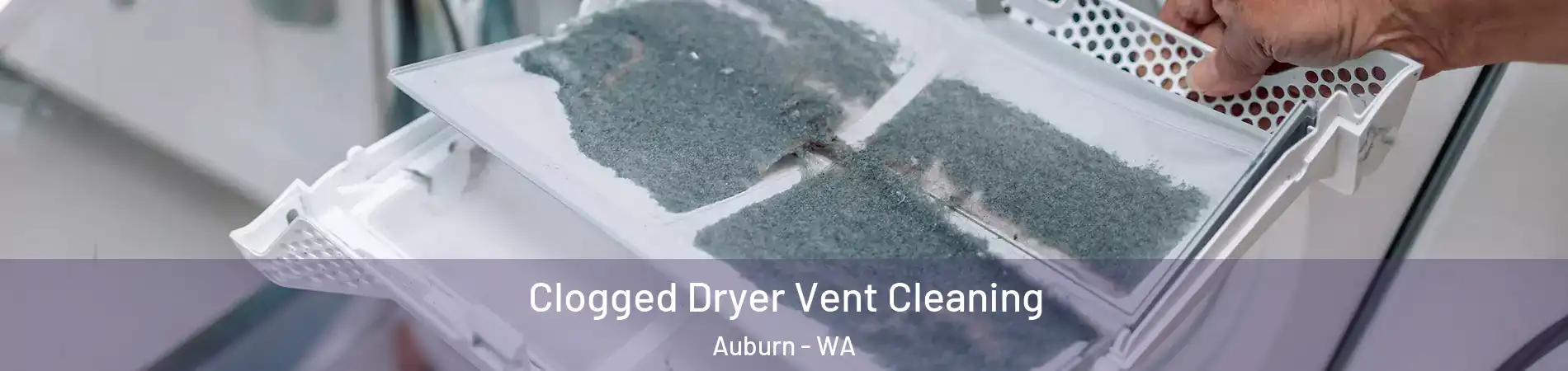  Clogged Dryer Vent Cleaning Auburn - WA