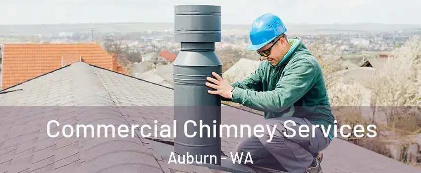  Commercial Chimney Services Auburn - WA