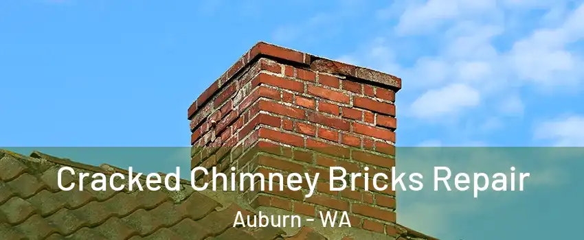  Cracked Chimney Bricks Repair Auburn - WA