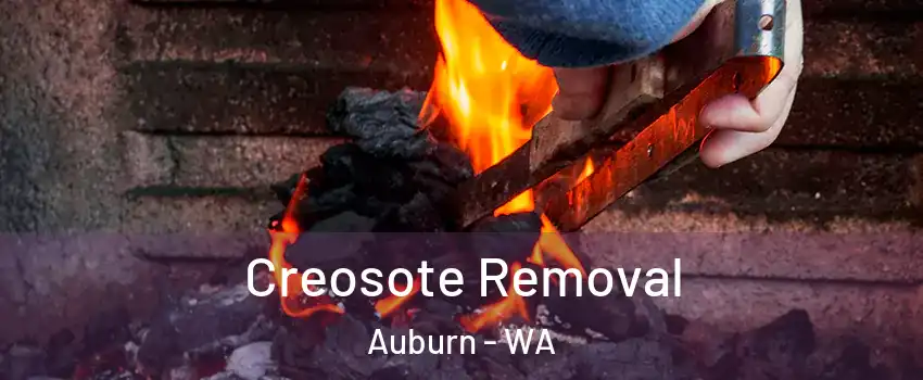  Creosote Removal Auburn - WA