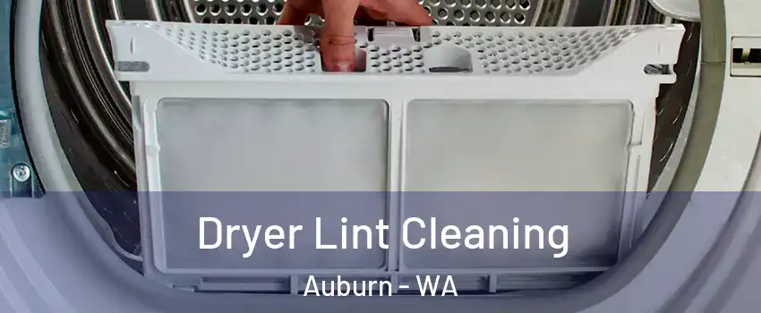  Dryer Lint Cleaning Auburn - WA