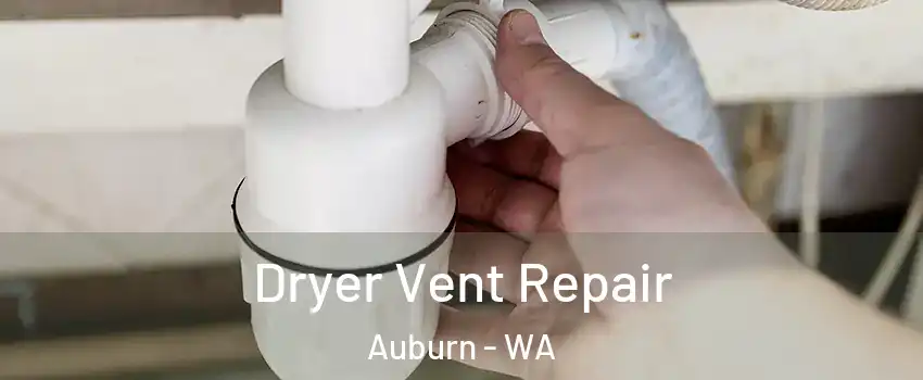  Dryer Vent Repair Auburn - WA