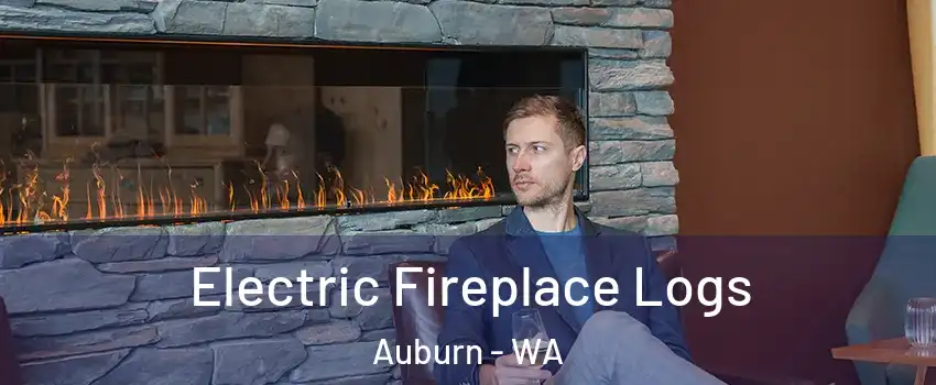  Electric Fireplace Logs Auburn - WA