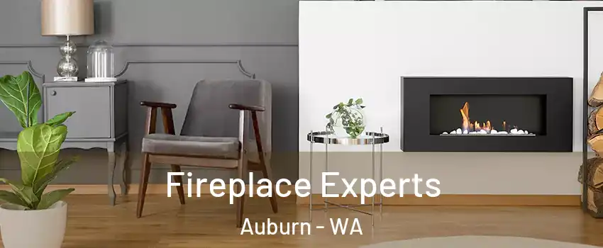  Fireplace Experts Auburn - WA