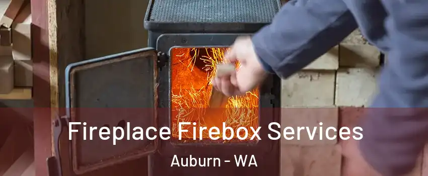  Fireplace Firebox Services Auburn - WA