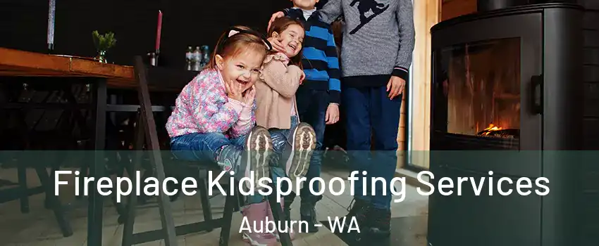  Fireplace Kidsproofing Services Auburn - WA
