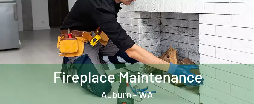  Fireplace Maintenance Auburn - WA