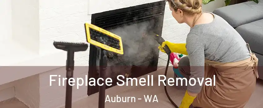  Fireplace Smell Removal Auburn - WA
