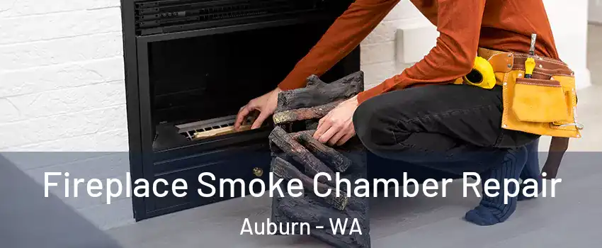  Fireplace Smoke Chamber Repair Auburn - WA