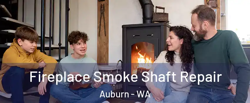  Fireplace Smoke Shaft Repair Auburn - WA