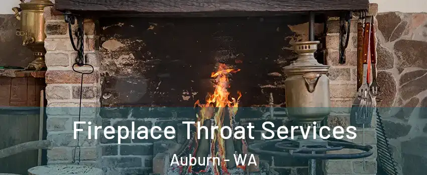  Fireplace Throat Services Auburn - WA