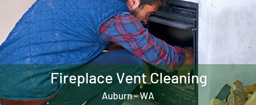  Fireplace Vent Cleaning Auburn - WA