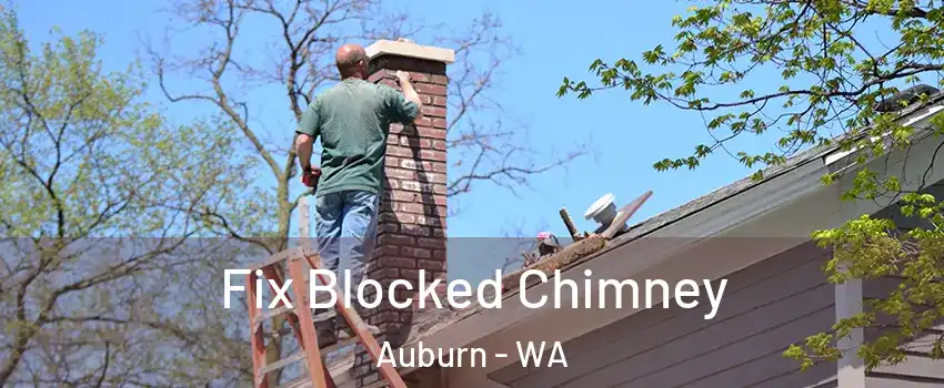  Fix Blocked Chimney Auburn - WA