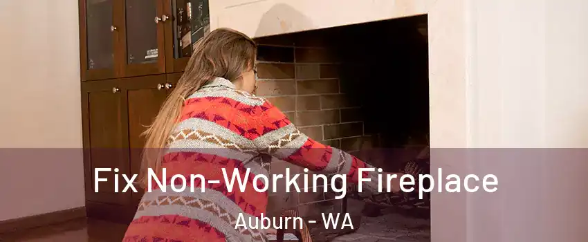  Fix Non-Working Fireplace Auburn - WA