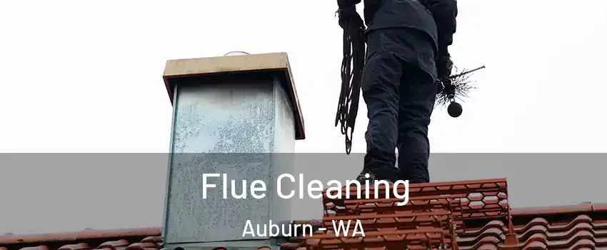  Flue Cleaning Auburn - WA