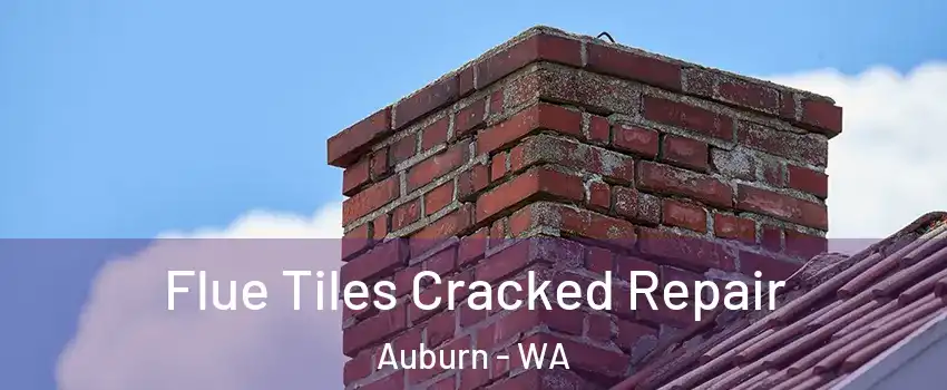  Flue Tiles Cracked Repair Auburn - WA