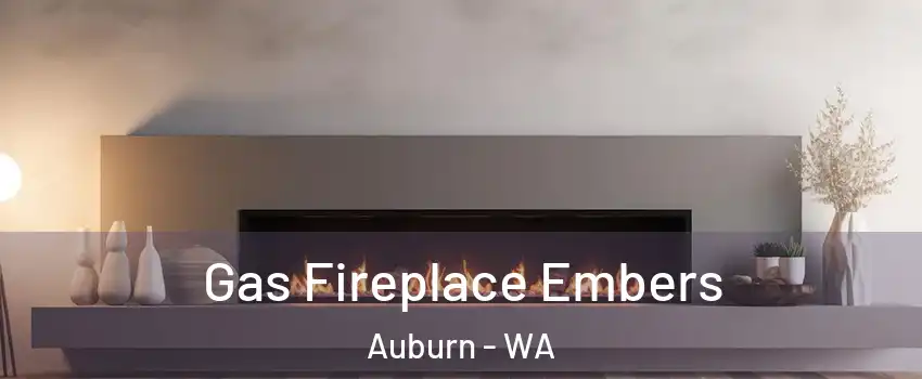  Gas Fireplace Embers Auburn - WA