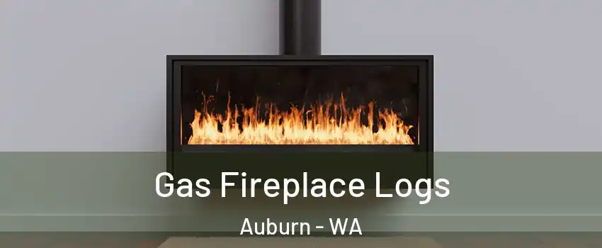  Gas Fireplace Logs Auburn - WA