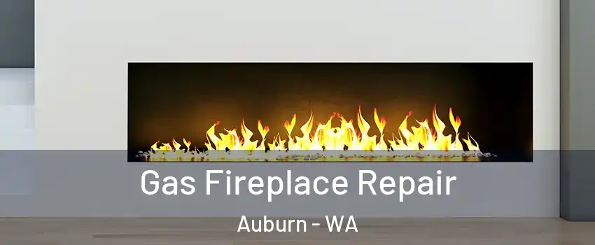  Gas Fireplace Repair Auburn - WA