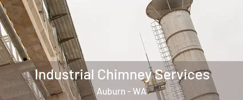  Industrial Chimney Services Auburn - WA