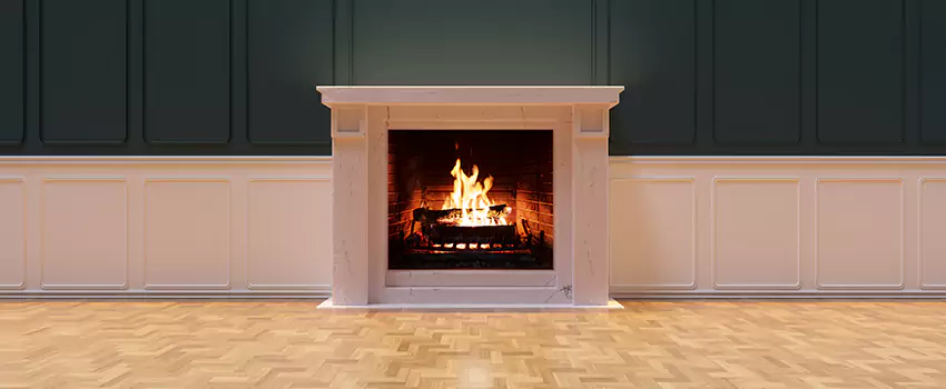 Napoleon Electric Fireplaces Inspection Service in Auburn, Washington