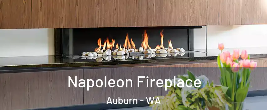  Napoleon Fireplace Auburn - WA
