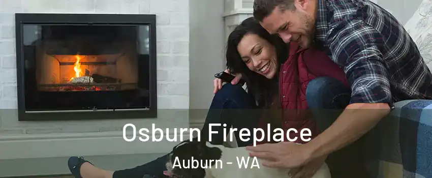  Osburn Fireplace Auburn - WA