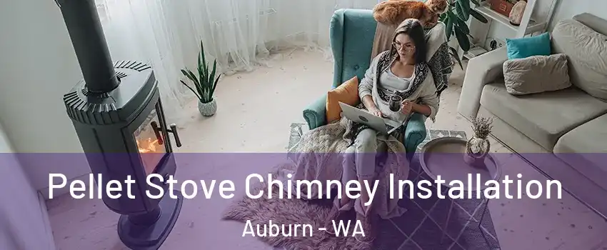  Pellet Stove Chimney Installation Auburn - WA