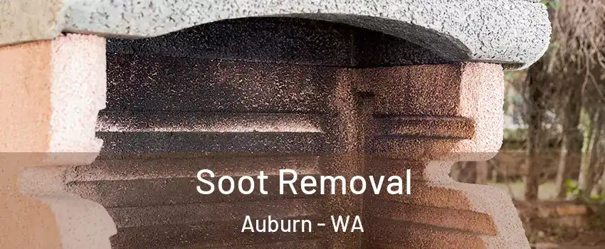  Soot Removal Auburn - WA