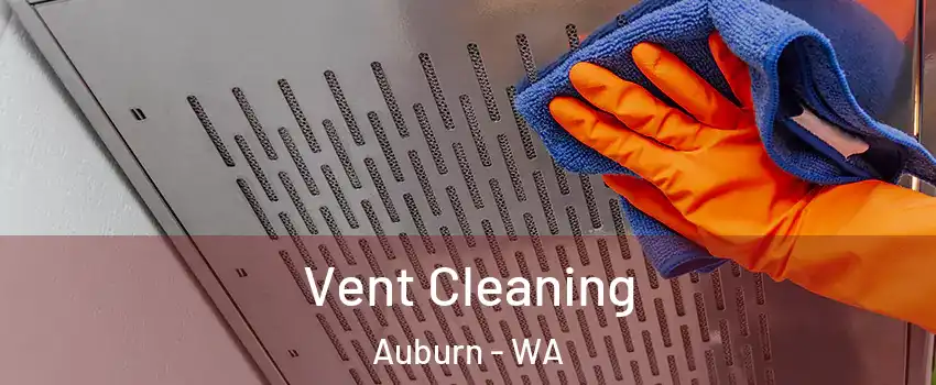  Vent Cleaning Auburn - WA