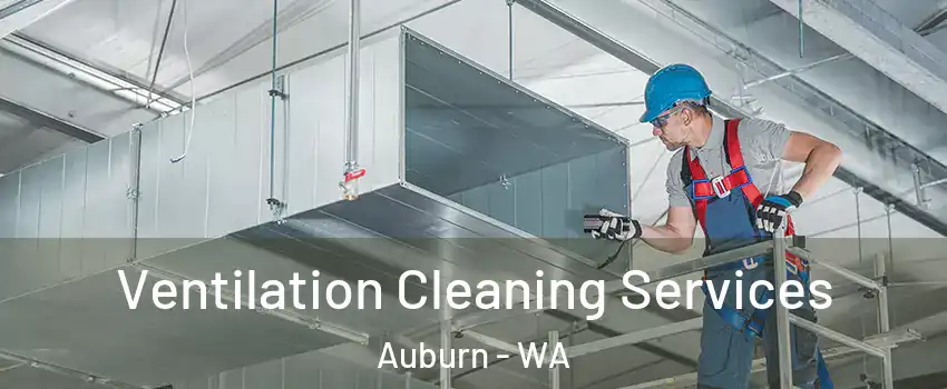  Ventilation Cleaning Services Auburn - WA